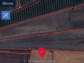 ขายที่ดิน เนื้อที่ 11-3-13 ไร่ พร้อมบ้านตึก 2 ชั้น หลังใหญ่ มีที่