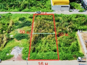 ขายที่ดิน ลำลูกกา คลอง4 พื้นที่ 200 ตร.ว.