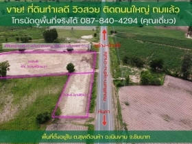 #ขายด่วนขายถูกสุดที่ดินมีโฉนดถูกต้องและที่ดินติดถนนใหญ่สายหลักทาง