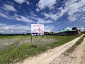 ขายที่ดิน เชียงราย ติดน้ำพุร้อนทุ่งทวี
