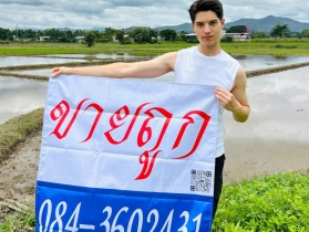 ขายที่ดิน เวียงป่าเป้า เชียงราย 2-2-63 ตร.ว.