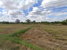 ขายที่ดิน ศรีสะเกษ อำเภอโพธิ์สุวรรณ