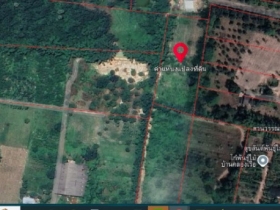 ขายที่ดินปราจีนบุรี 50 ไร่ ติดถนนใหญ่